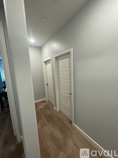 29646 Saddlebred Circle 4 Beds Single Family Home for Rent - Photo gallery 2
