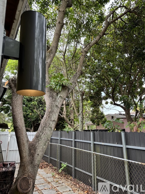 A tree with a black cylindrical object hanging from it.
