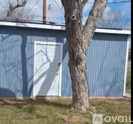 A tree stands in front of a blue building with a white door.