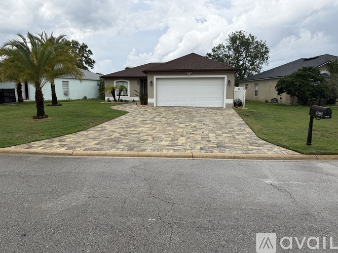 A house with a driveway and a palm tree in front.