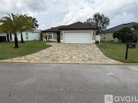 A house with a driveway and a palm tree in front.
