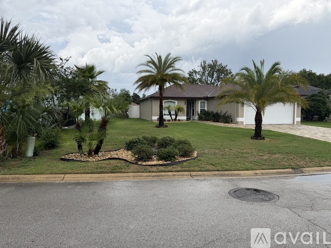 A house with a white fence and a palm tree in front.