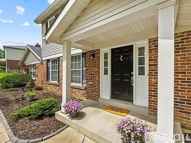 A house with a black door and a small garden in front.