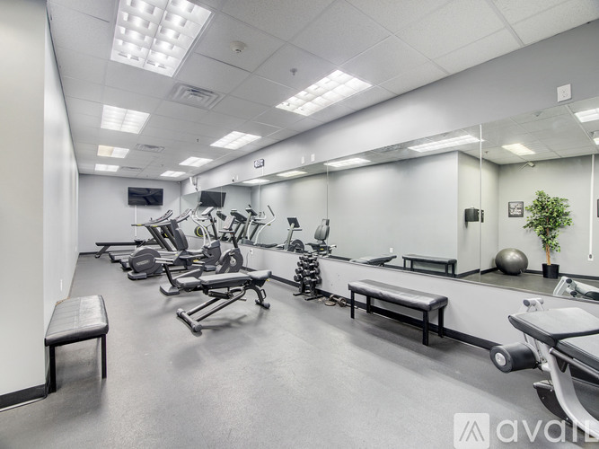 A gym with a variety of equipment including treadmills, weights, and benches.