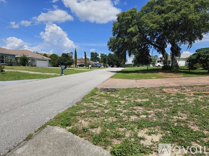 A residential street with houses on both sides and a tree in the distance.