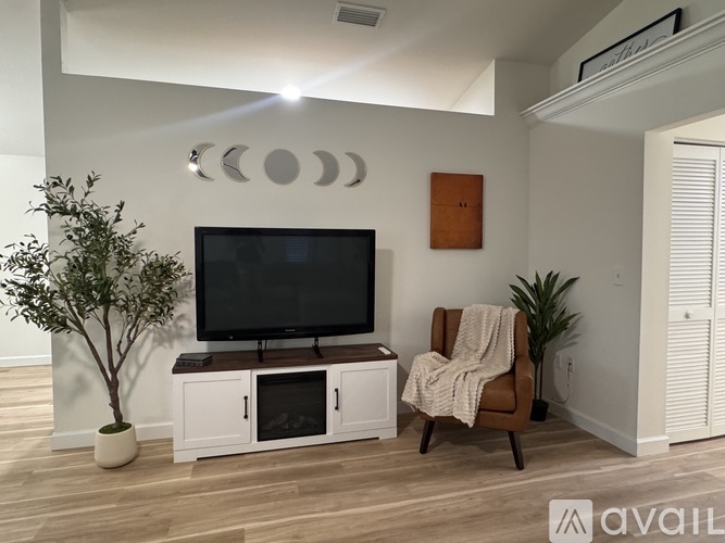A living room with a television, a plant, and a chair.