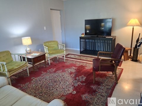 A living room with a rug, a television, and a chair.