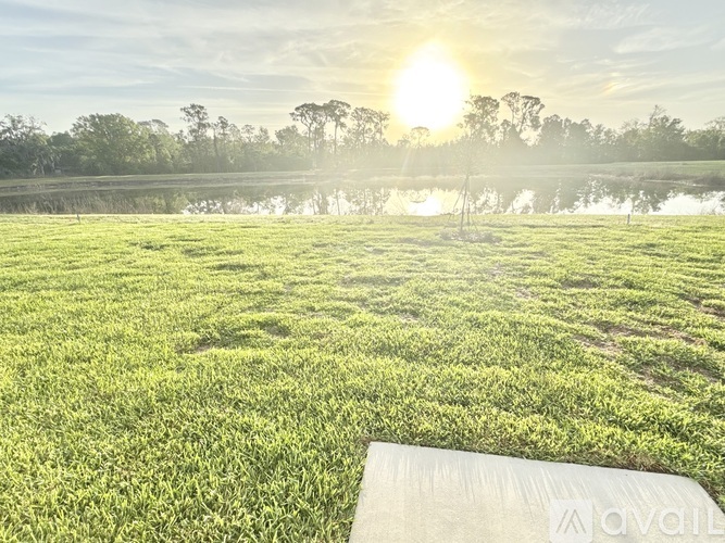 A grassy field with a sun shining in the background.
