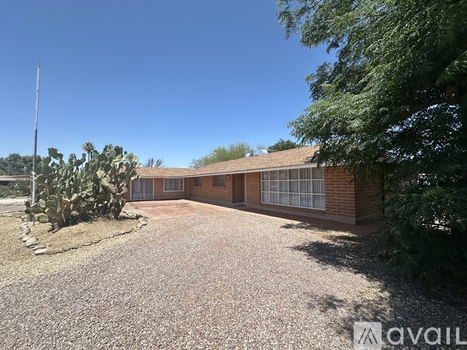 A gravel driveway leads to a brick house with a cactus on the left.