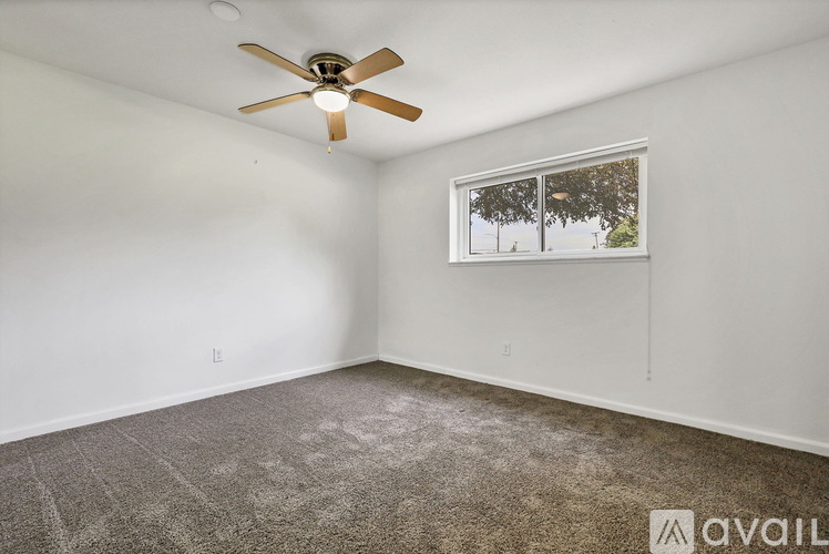 A room with a ceiling fan and a window showing trees outside.
