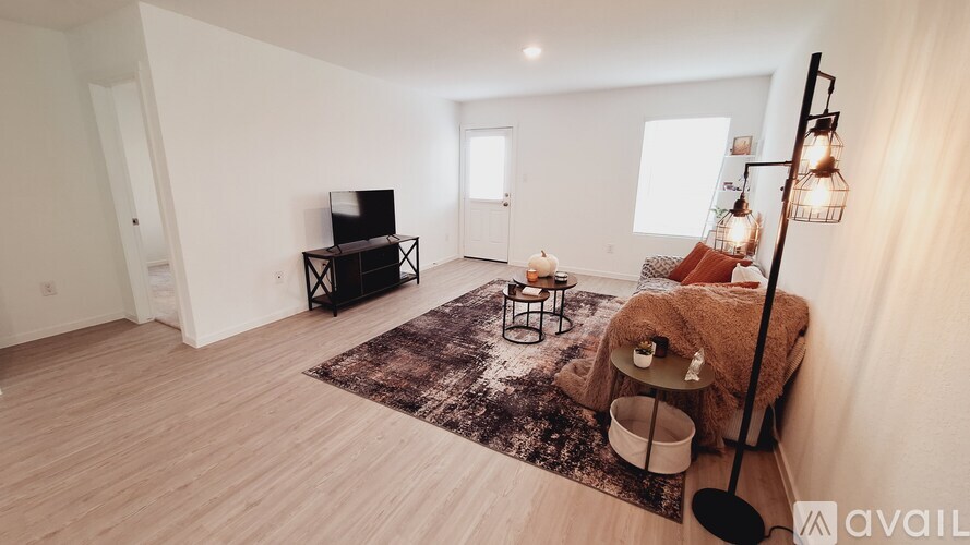 A living room with a television, a sofa, and a rug.