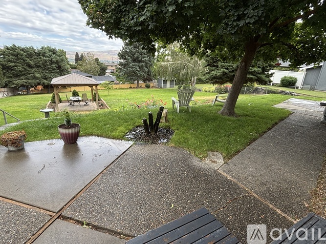 A backyard with a gazebo and a potted plant.