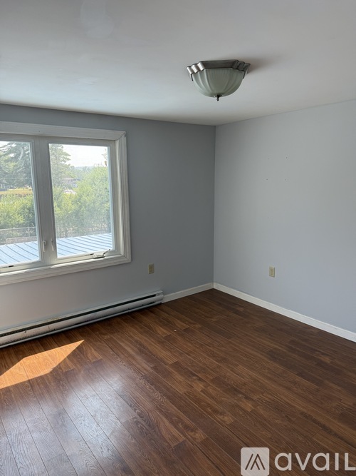1110 Main St 1 Apartment for Rent - Photo gallery 3