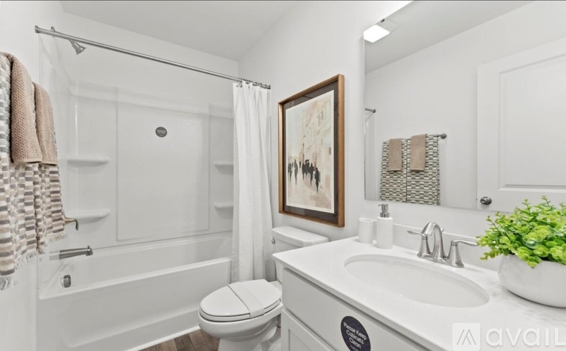 A white bathroom with a toilet, sink, and shower.