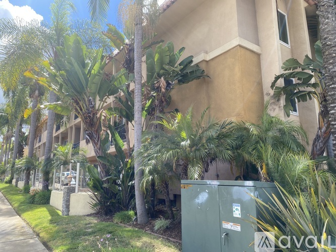 A green utility box sits in front of a building with a palm tree.