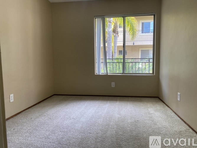 A room with a carpeted floor and a window overlooking a balcony with a palm tree.