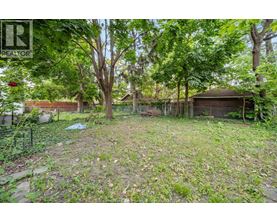A backyard with a shed and trees.