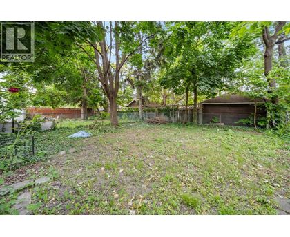 A backyard with a shed and trees.