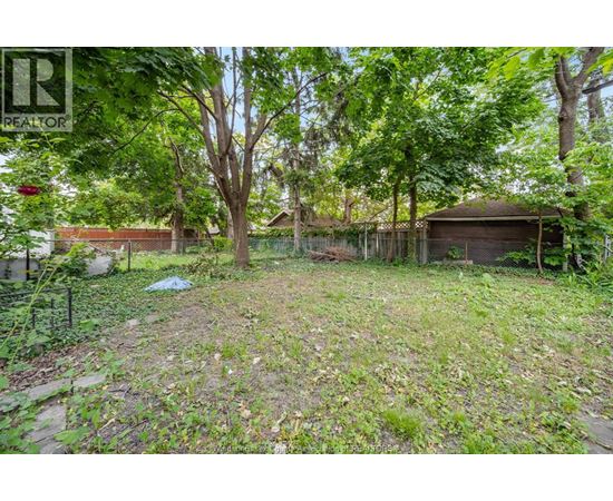 A backyard with a shed and trees.