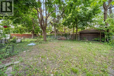 A backyard with a shed and trees.