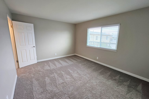 A room with a carpet and a window with blinds.