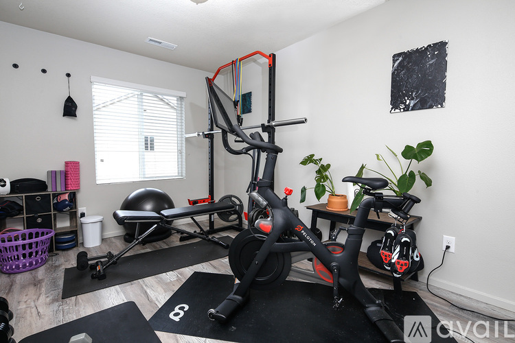A home gym with a stationary bike, a rowing machine, and a bench.