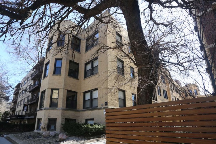A large tree with no leaves stands in front of a tan building.
