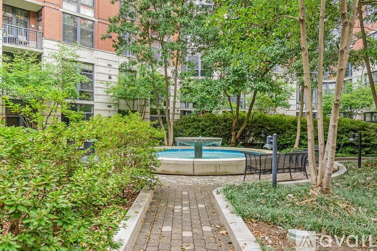 A small pool surrounded by trees and bushes in a courtyard.