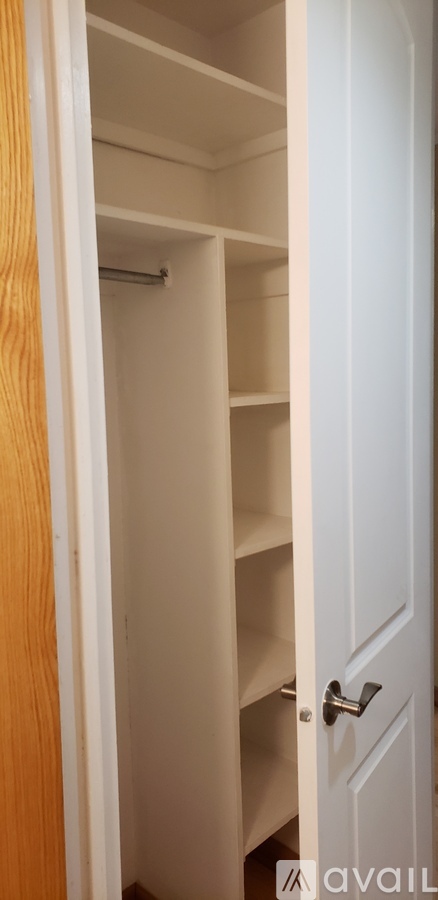 535 North Michigan Avenue Studio Condo for Rent - Photo gallery 2