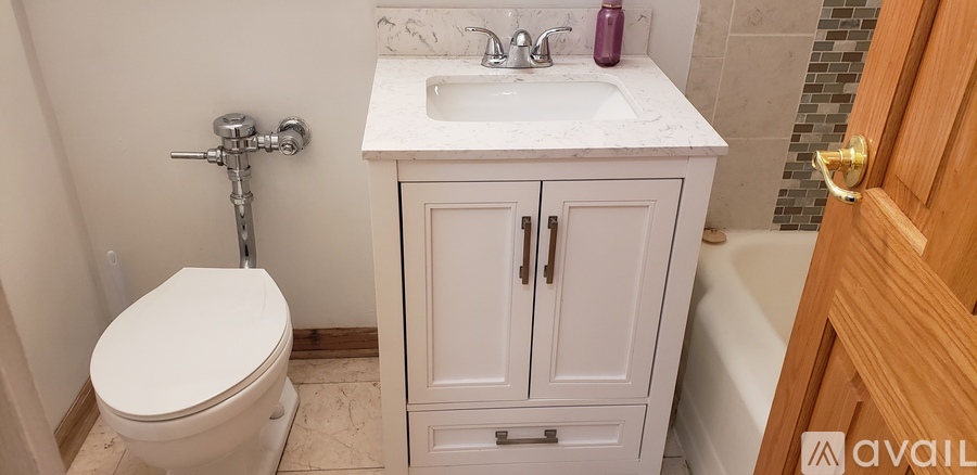 535 North Michigan Avenue Studio Condo for Rent - Photo gallery 3