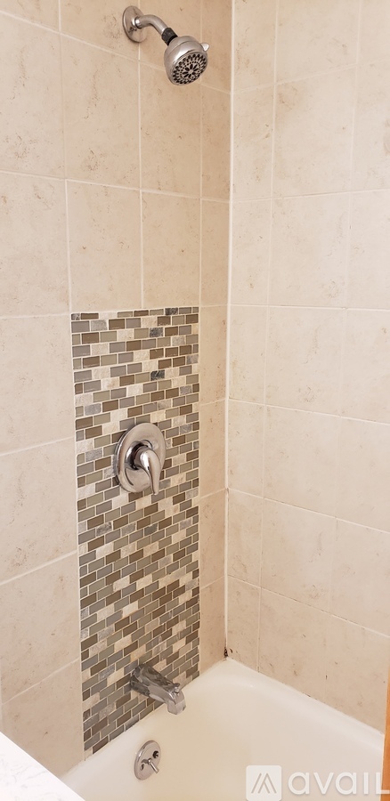 535 North Michigan Avenue Studio Condo for Rent - Photo gallery 4