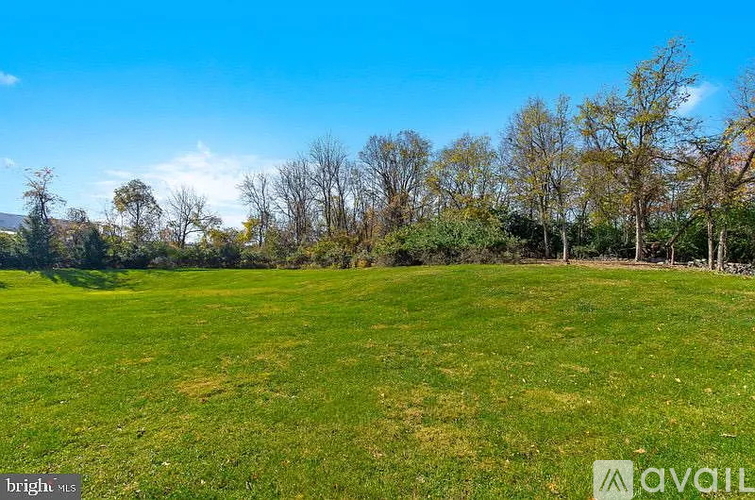 A grassy field with trees in the background and a clear blue sky.