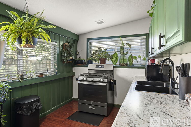 A kitchen with a green wall and a stove top oven.