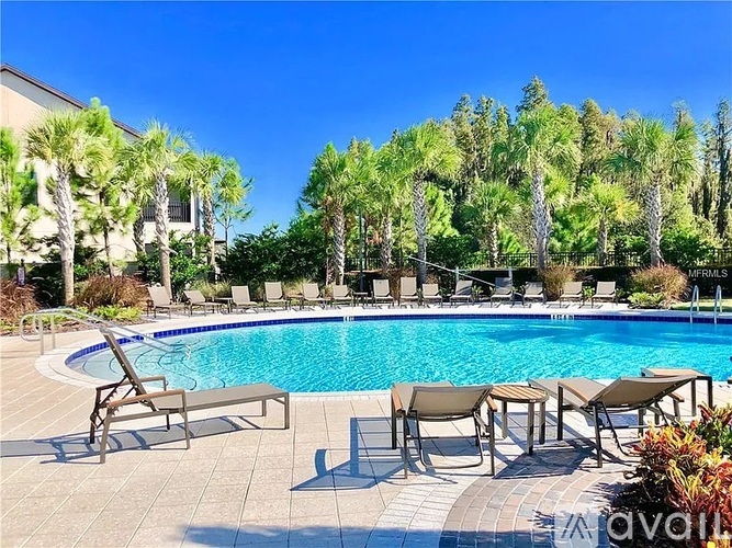 A pool surrounded by palm trees and lounge chairs.