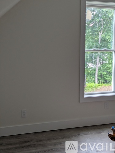 A room with a window showing trees outside.