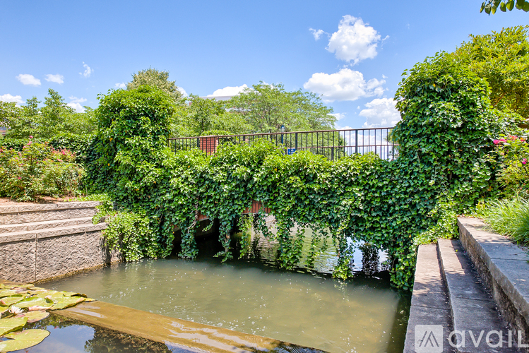 A small pond surrounded by greenery and a bridge.