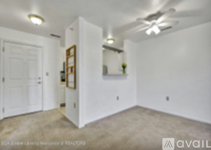 338 West Saginaw Street 1 Apartment for Rent - Photo gallery 4