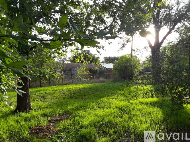 A sunny day in a green field with trees and a fence in the background.