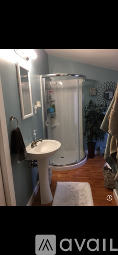 22 Richard Street 1 Apartment for Rent - Photo gallery 3