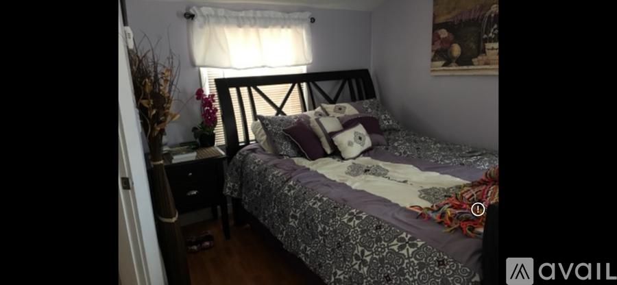 22 Richard Street 1 Apartment for Rent - Photo gallery 5