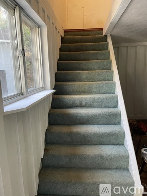 A staircase with a carpeted runner and white railings.