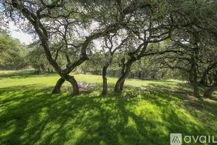 A grassy field with trees in the background.