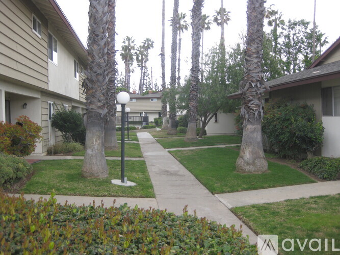 A residential area with a sidewalk and palm trees.