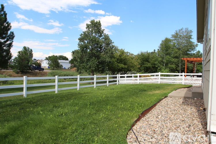 A white fence runs along the edge of a grassy yard.