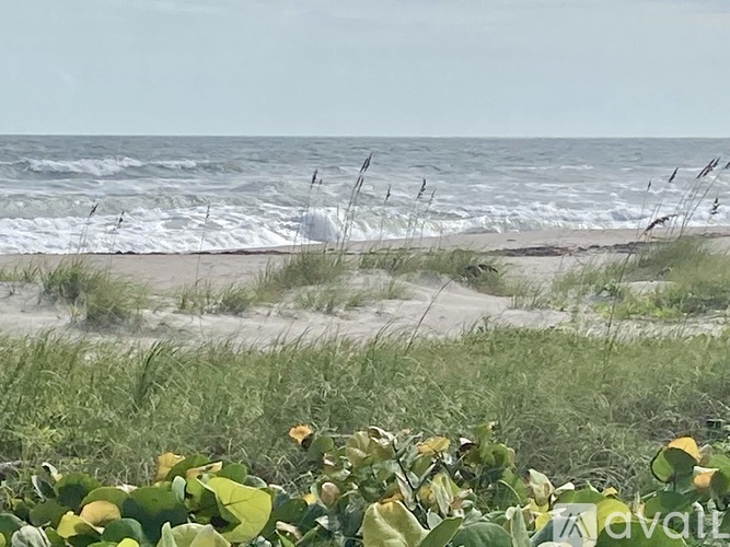 A beach scene with grass and ocean waves.