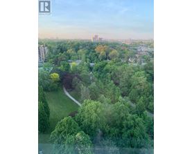 A lush green park with a winding path and apartment buildings in the background.