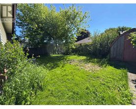 A backyard with a green lawn and trees.