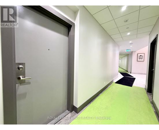 A hallway with a green carpet and a door on the left.