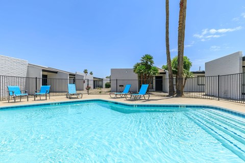A swimming pool with blue lounge chairs and a palm tree.