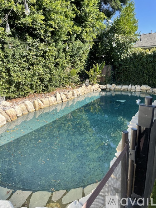A pool surrounded by a stone wall and trees.